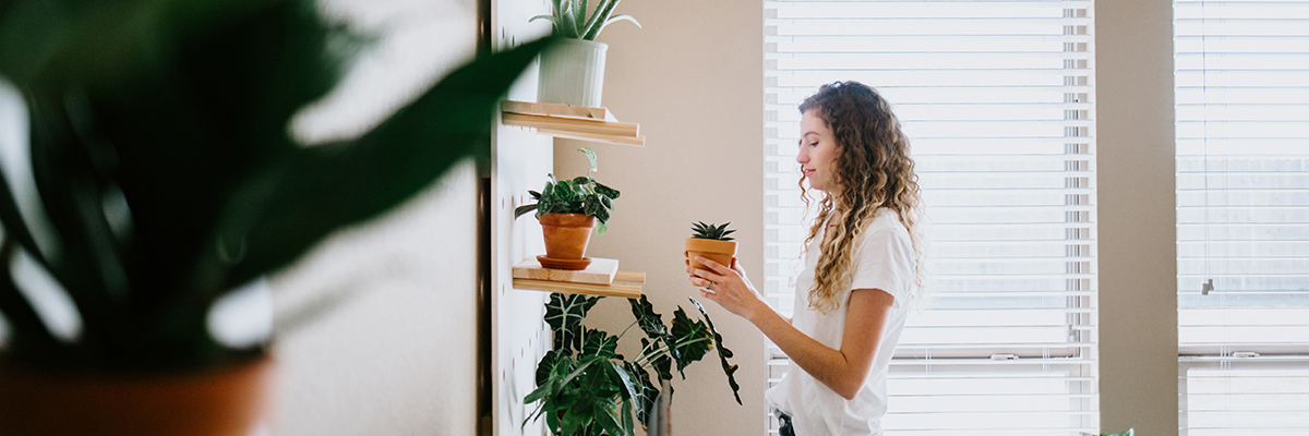 Woman setting plant on shelf