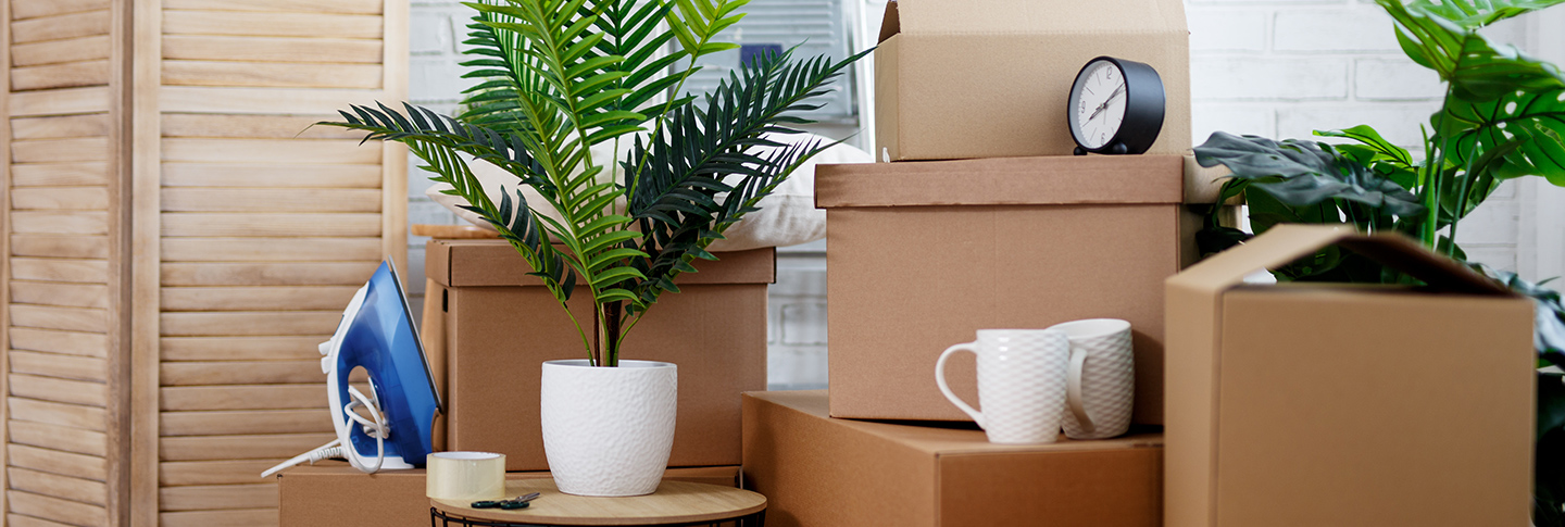 Moving boxes stacked up in room